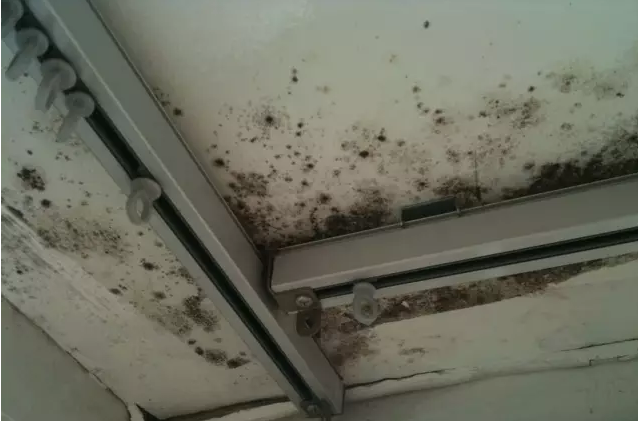 室內結露發霉