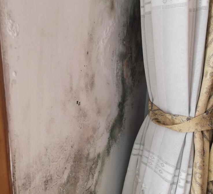 Ǽb≦أЉڰl(f)ùô£