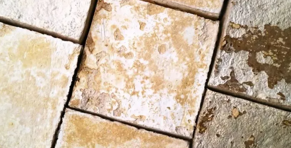 菌絲體保溫材料助力建筑材料創(chuàng)新